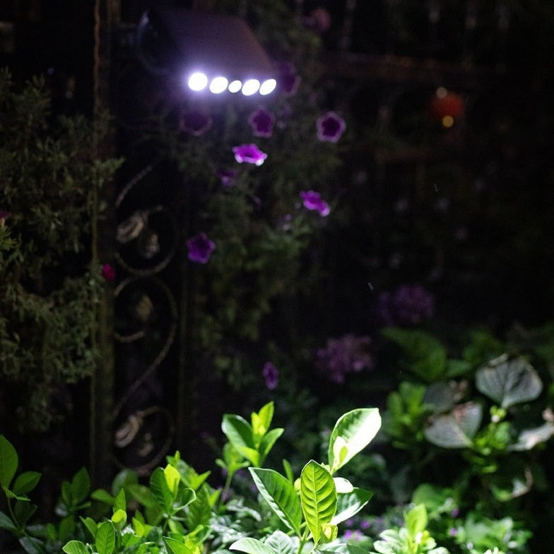 Motion Light Solar with Sensor & Swivel Mount | Wall