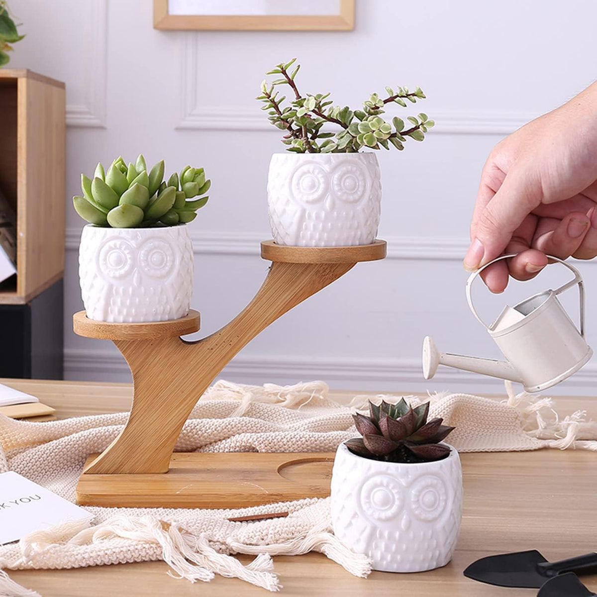 Plant Stand Bamboo 2-Tier with Branch Design | Display