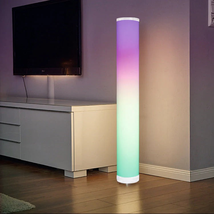 Floor Lamp LED Living Room | Color Changing