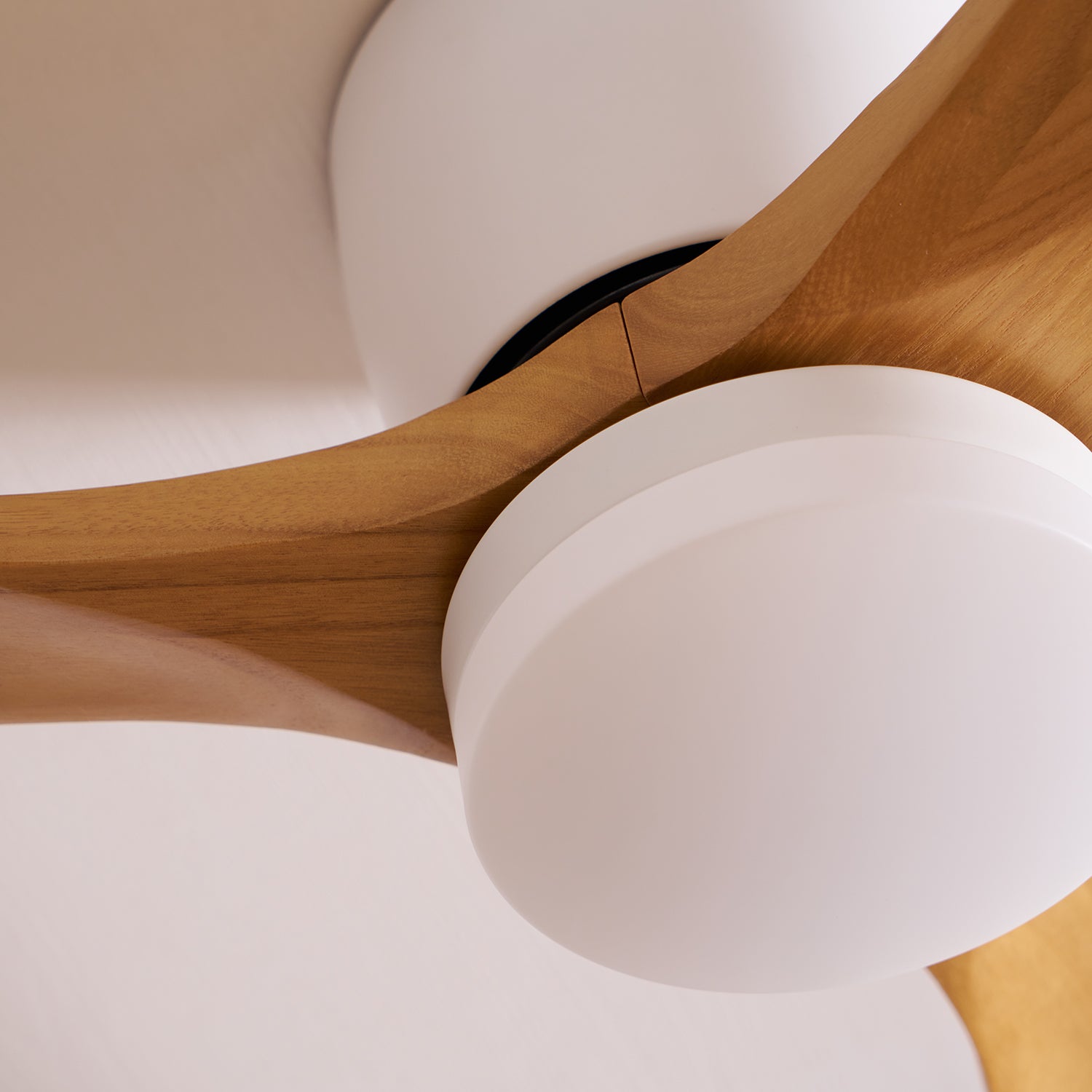 Ceiling Fan with Light 3-Blade Wood Remote | Flush Mount
