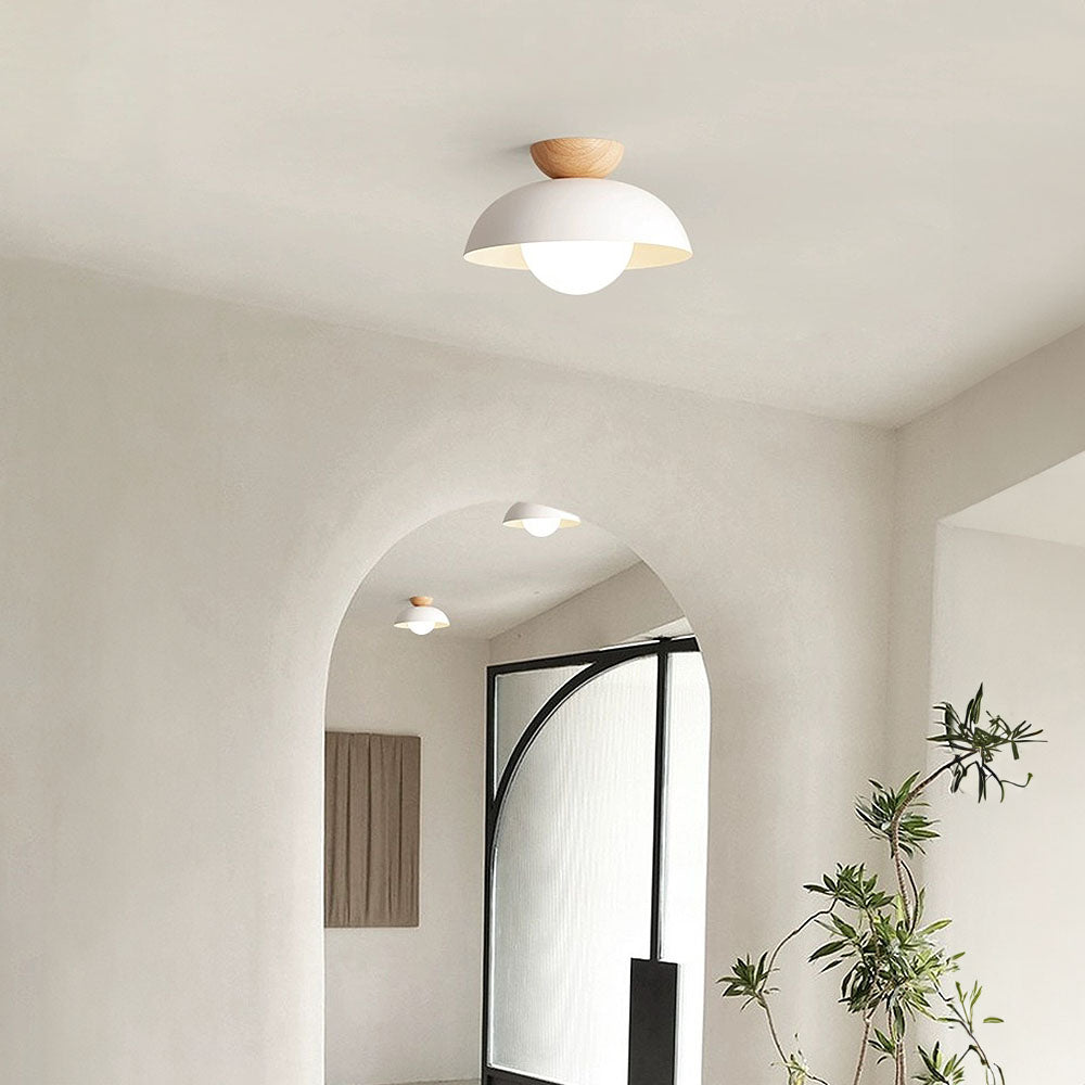 Ceiling Light Dome with Wooden Cap | Globe Design