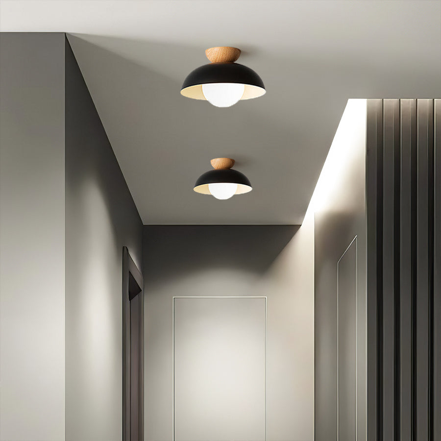 Ceiling Light Dome with Wooden Cap | Globe Design