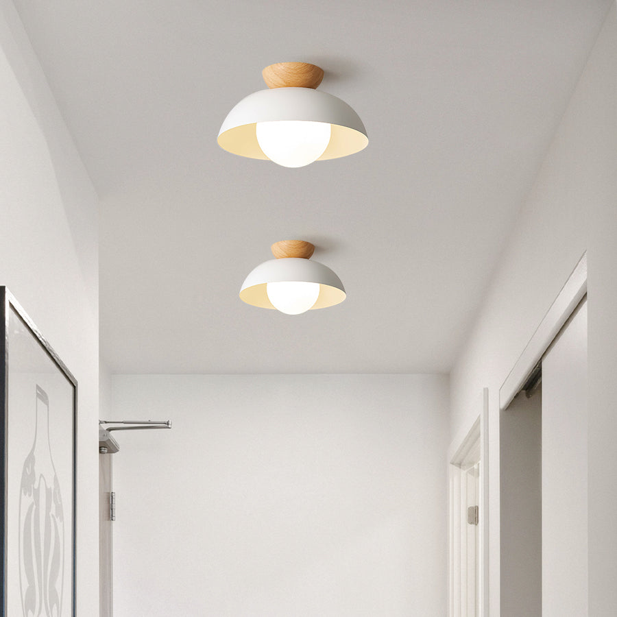 Ceiling Light Dome with Wooden Cap | Globe Design