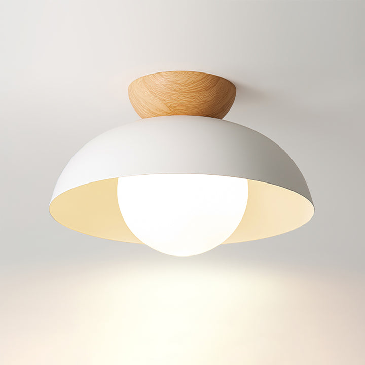 Ceiling Light Dome with Wooden Cap | Globe Design