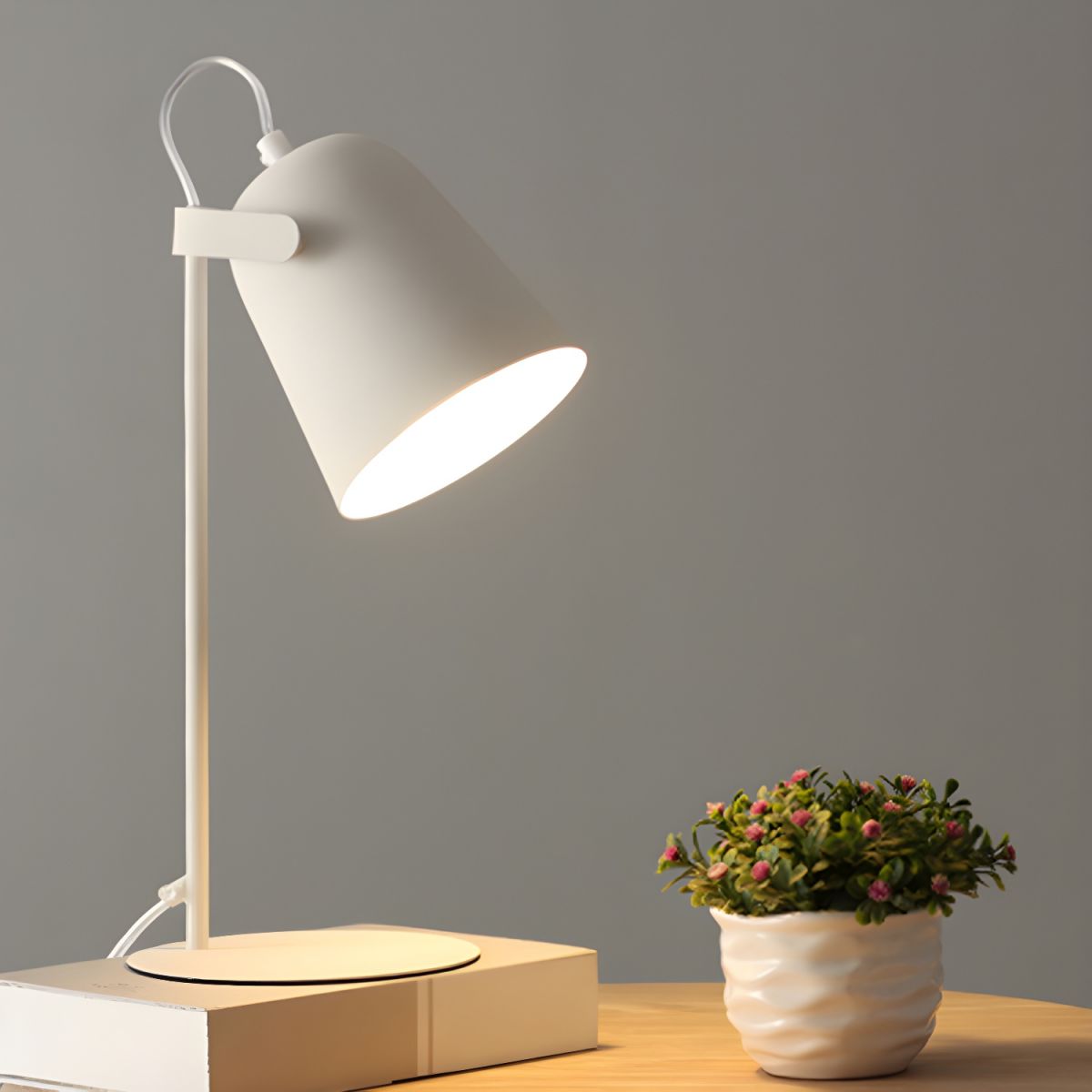 Desk Lamps with Adjustable Shade | Reading & Bedside