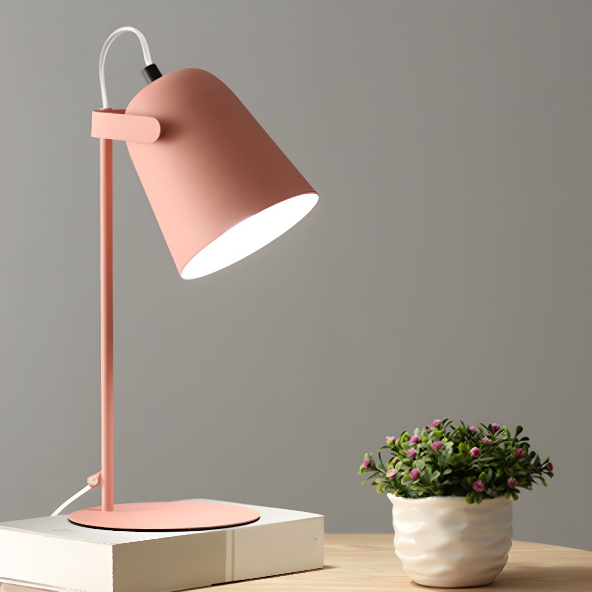 Desk Lamps with Adjustable Shade | Reading & Bedside