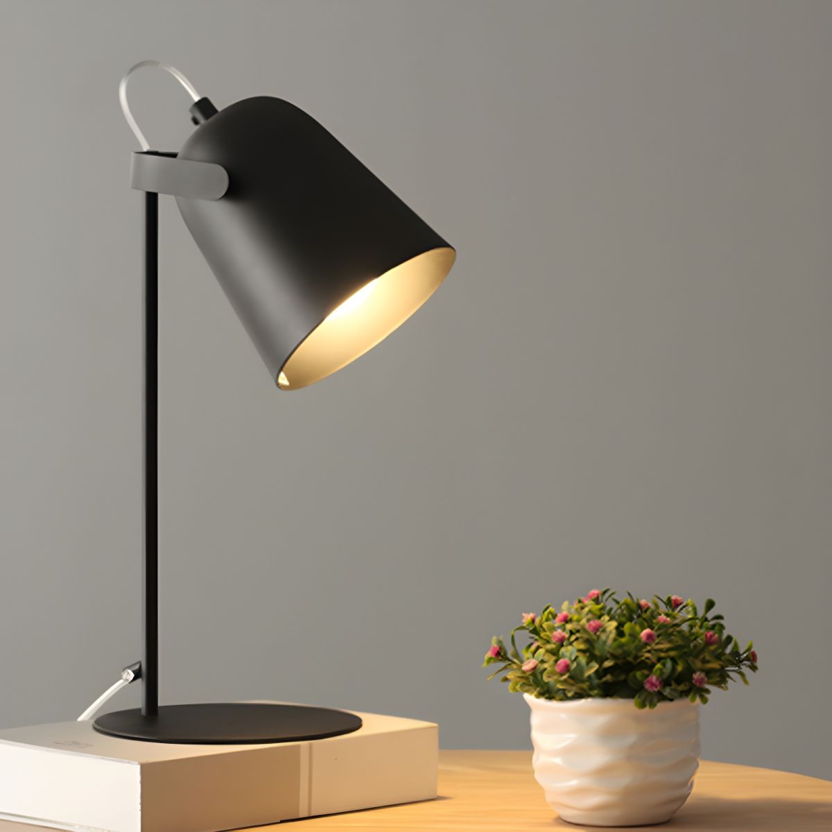 Desk Lamps with Adjustable Shade | Reading & Bedside
