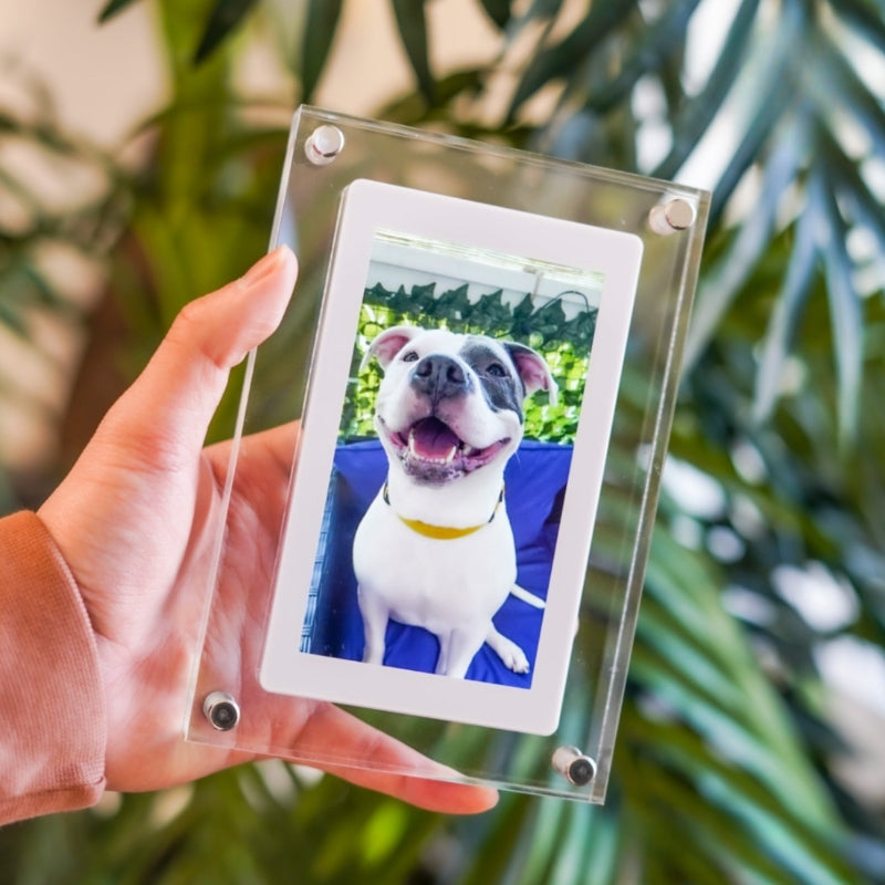 Digital Photo Frame Acrylic Case | HD
