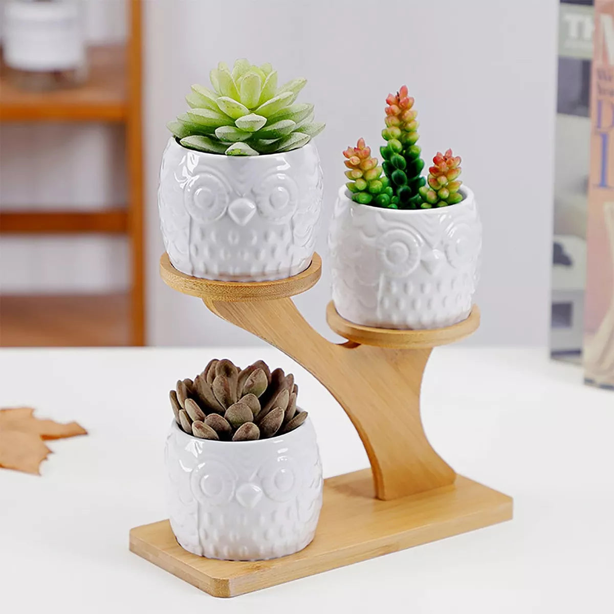 Plant Stand Bamboo 2-Tier with Branch Design | Display