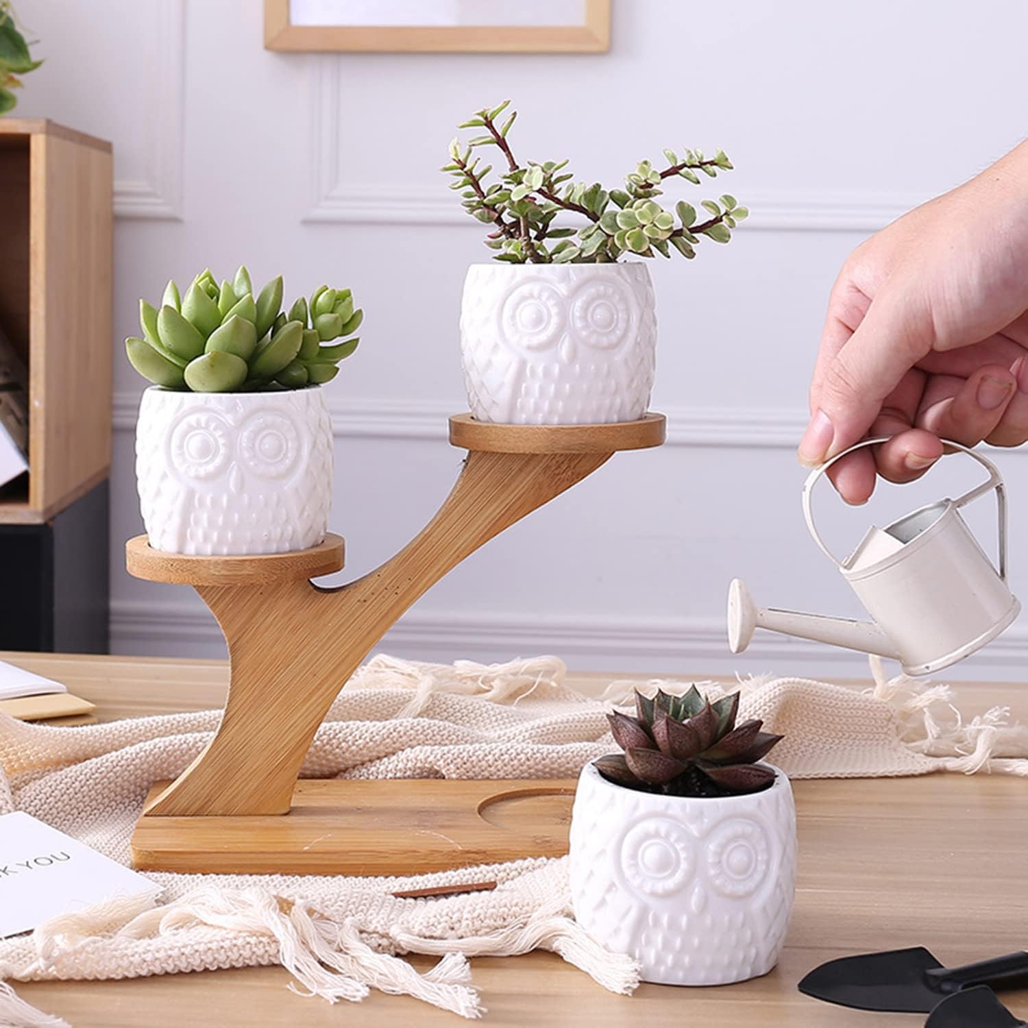 Plant Stand Bamboo 2-Tier with Branch Design | Display