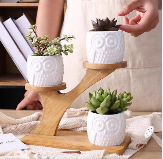 Plant Stand Bamboo 2-Tier with Branch Design | Display