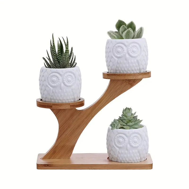 Plant Stand Bamboo 2-Tier with Branch Design | Display
