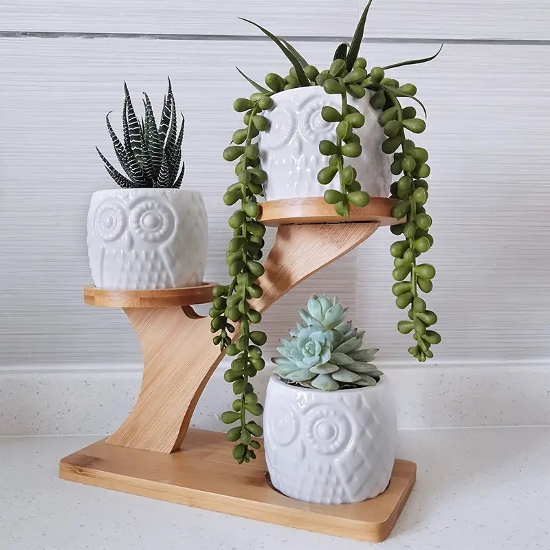 Plant Stand Bamboo 2-Tier with Branch Design | Display
