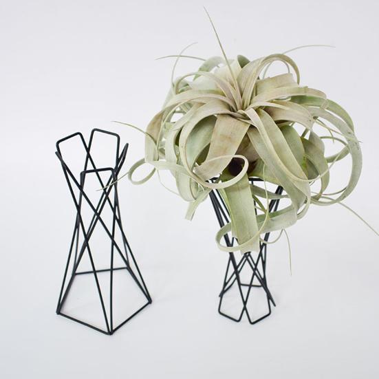 Plant Stand Wire Geometric for Tabletop | Modern Riser