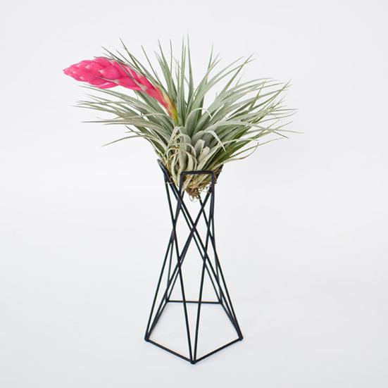 Plant Stand Wire Geometric for Tabletop | Modern Riser