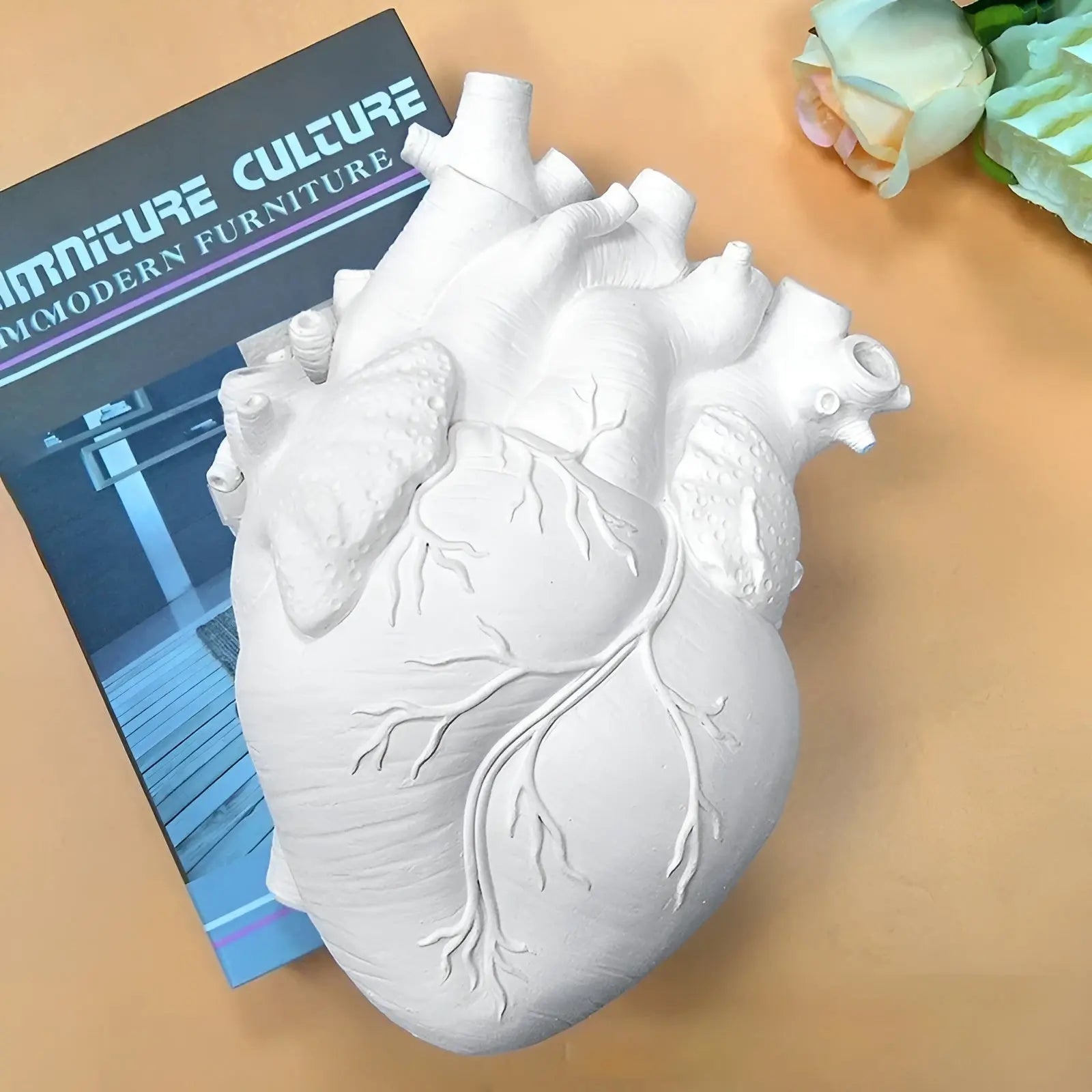Sculptural Heart Vase for Living Room | Anatomical Design