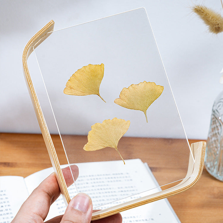 Wood Photo Frames with Floating Display | Double-Sided